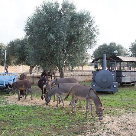 Masseria Grande Taurisano Luaran gambar