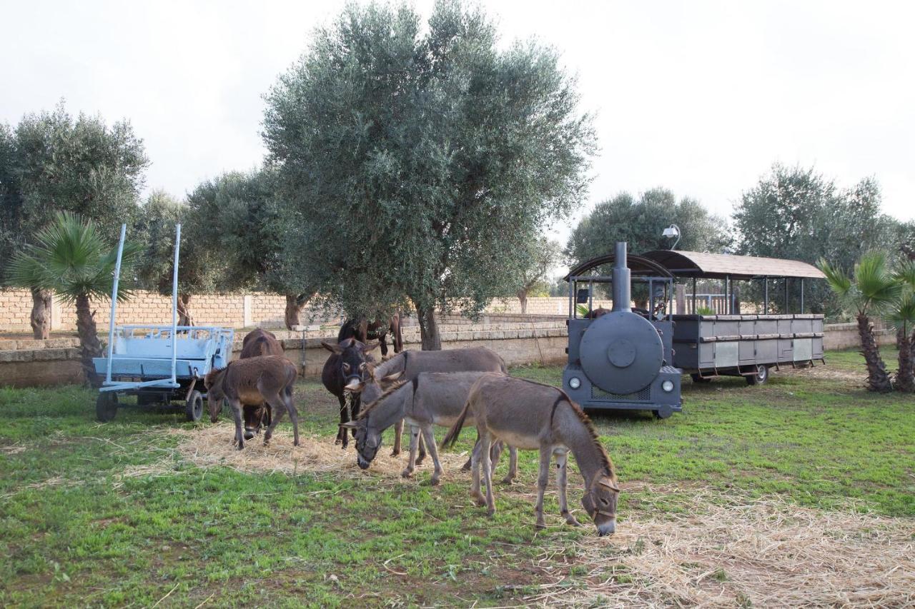 Masseria Grande Taurisano Luaran gambar
